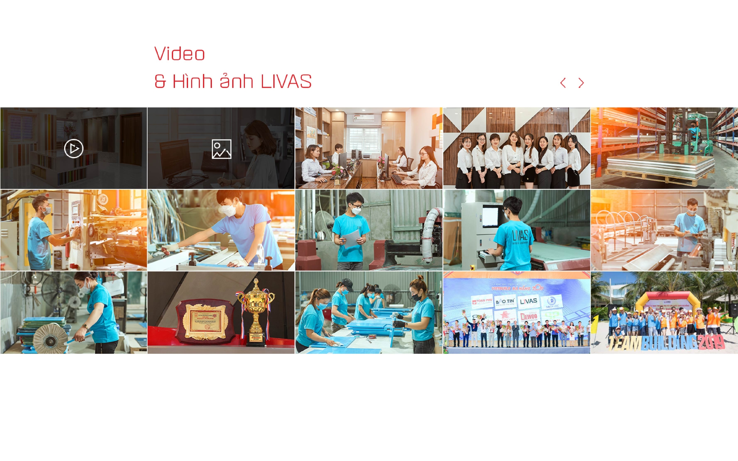 Web livas showcase 11 scaled