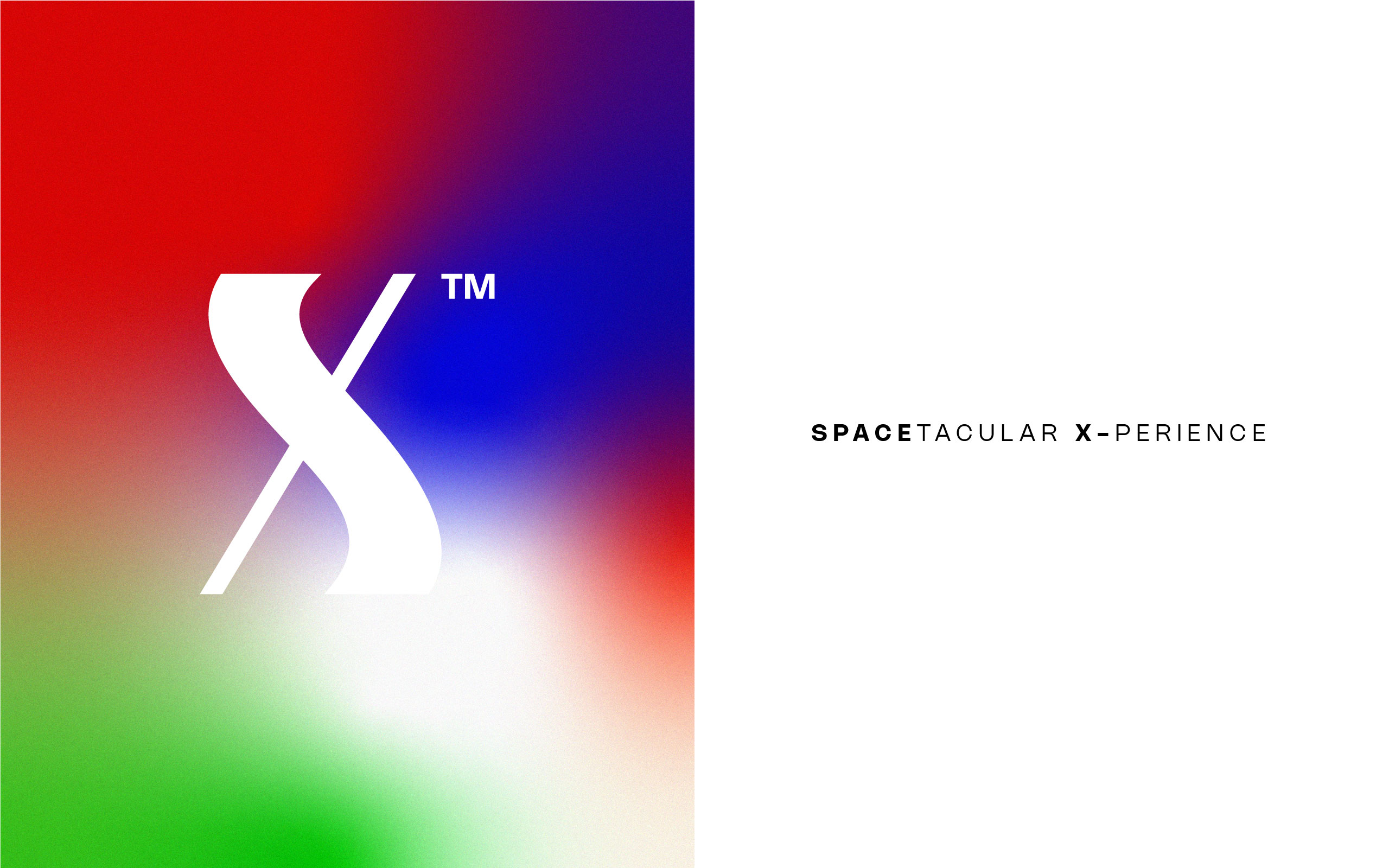 TreeCreative Thiet ke logo SpaceX 05