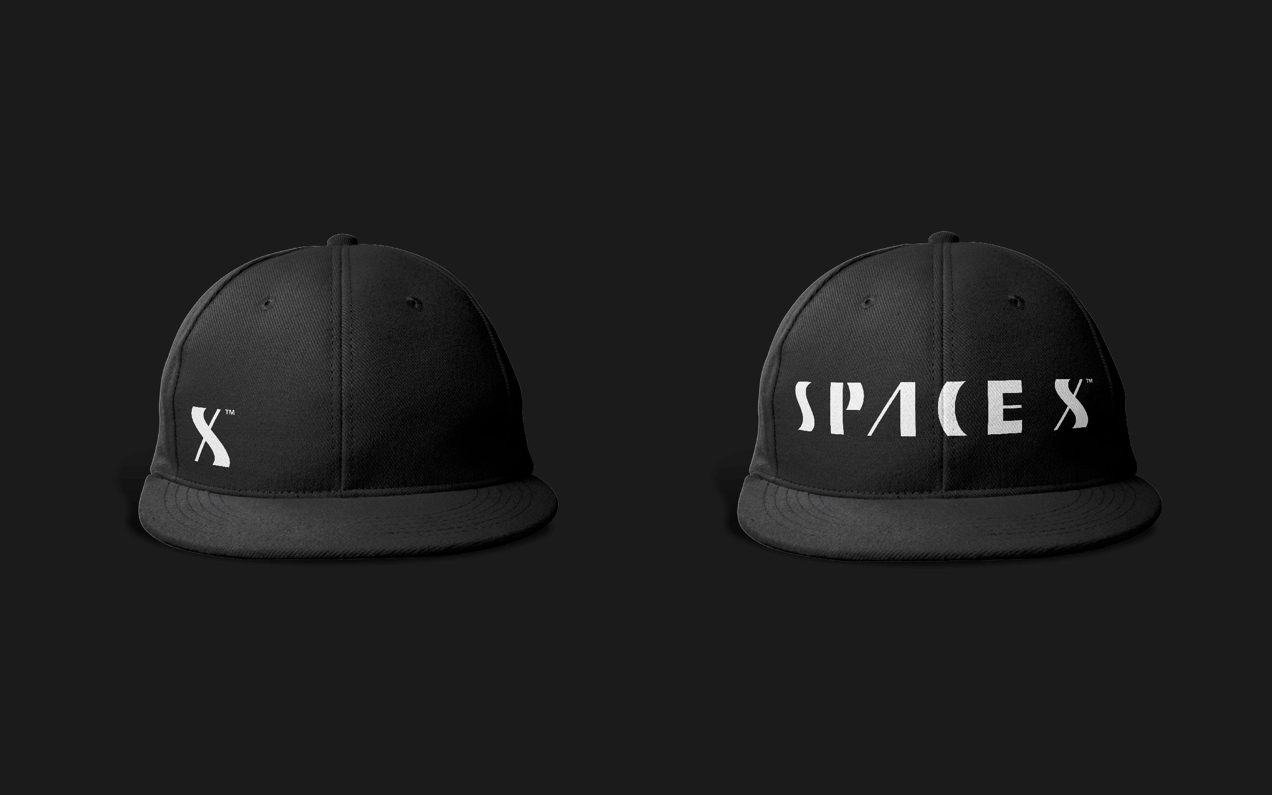 TreeCreative Thiet ke logo SpaceX 13