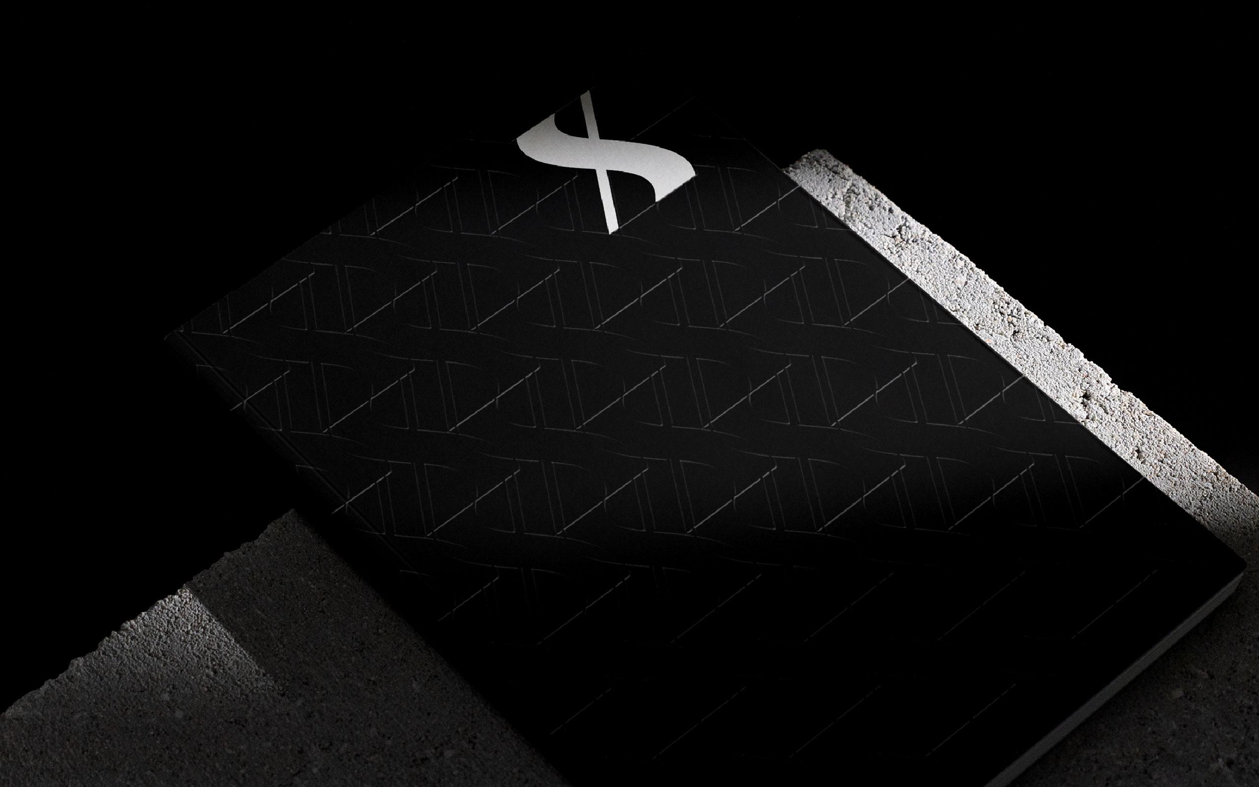 TreeCreative Thiet ke logo SpaceX 19
