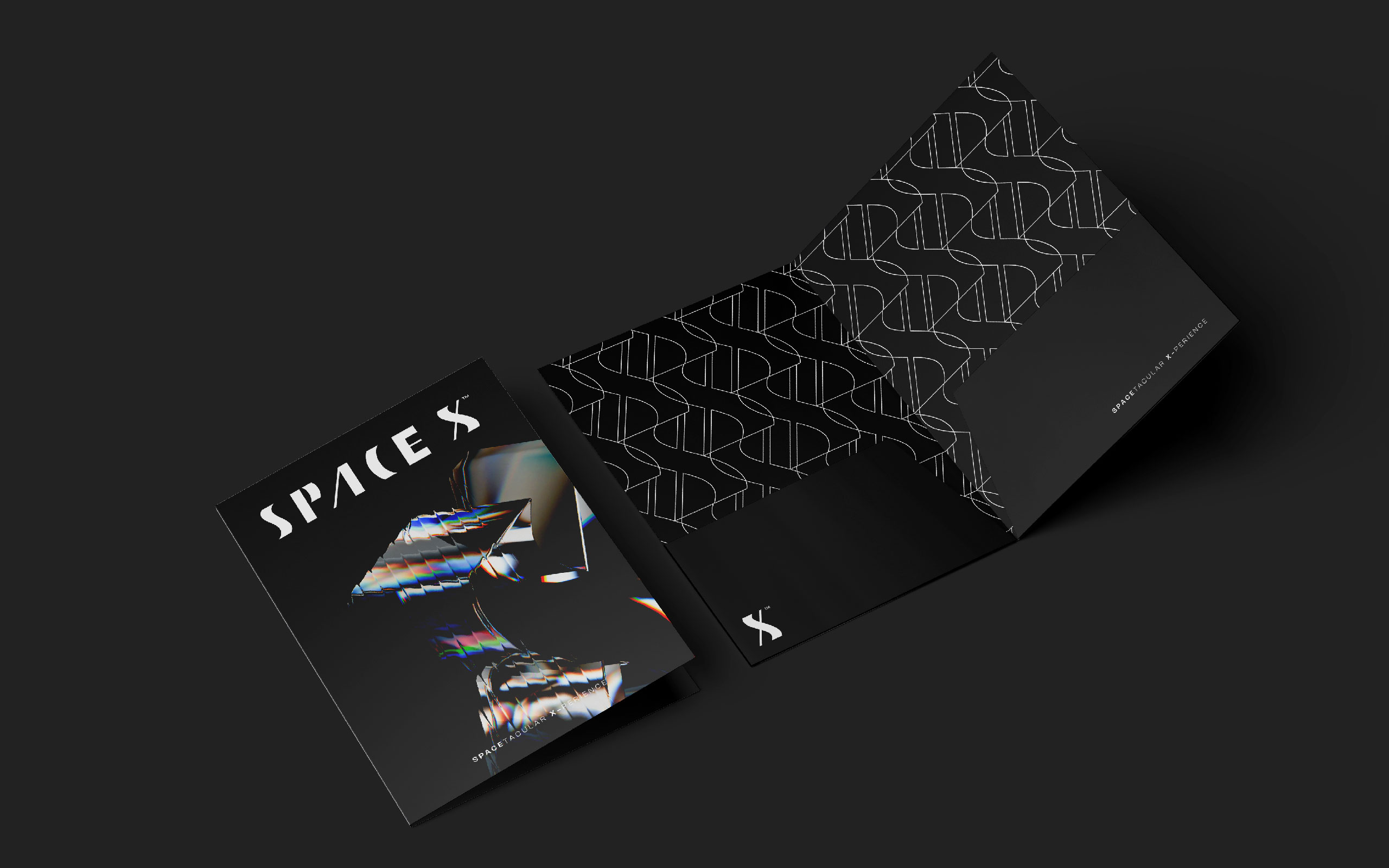 TreeCreative Thiet ke logo SpaceX 37