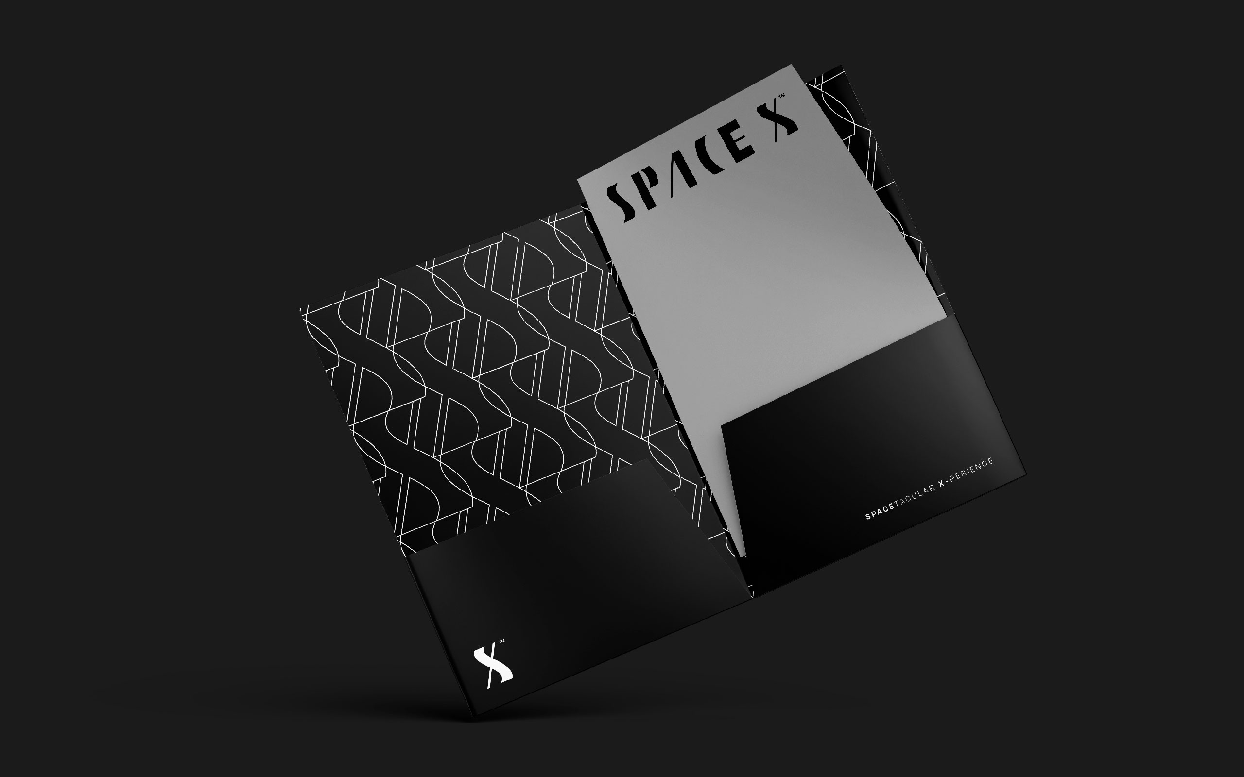 TreeCreative Thiet ke logo SpaceX 38