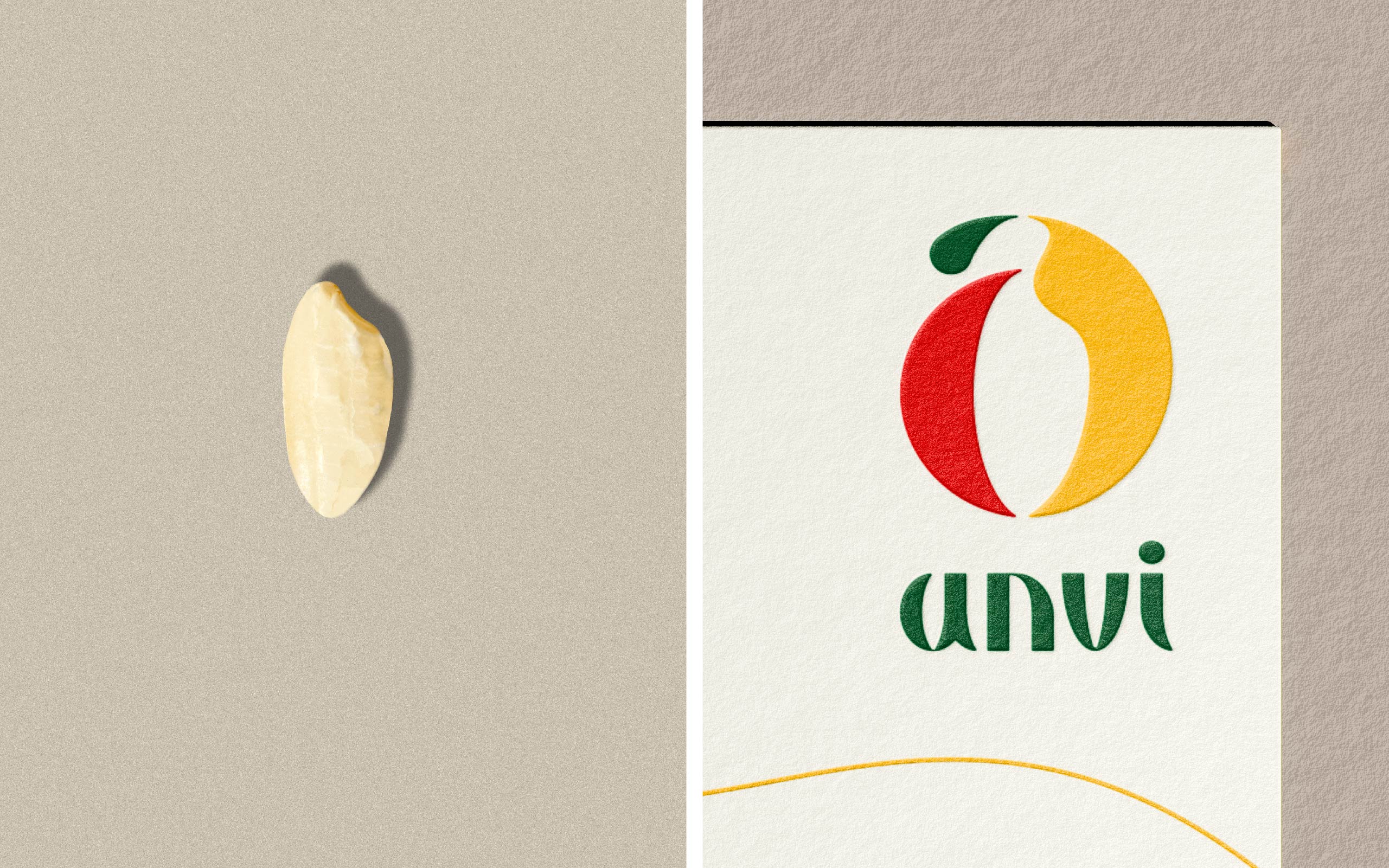 TreeCreative Thiet ke logo gao AnVi 25